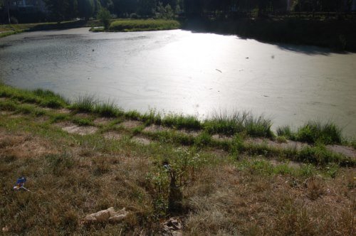 водойма4 водойма4
