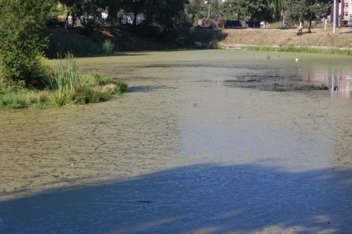 водойма13 водойма13