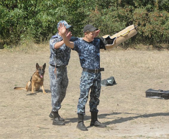 к¦нологи-1 к¦нологи-1
