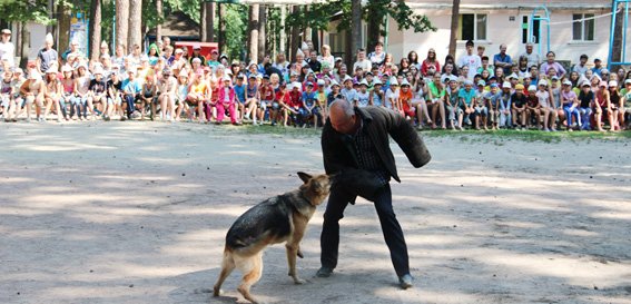 PM727image006