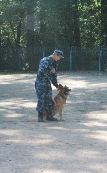 PM432image003