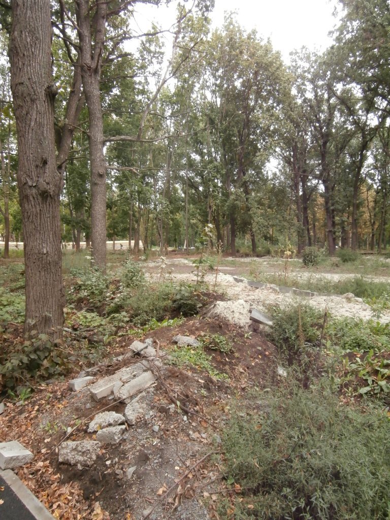 P9032108