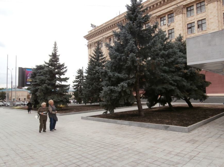 P9032123