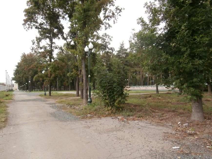 P9032095
