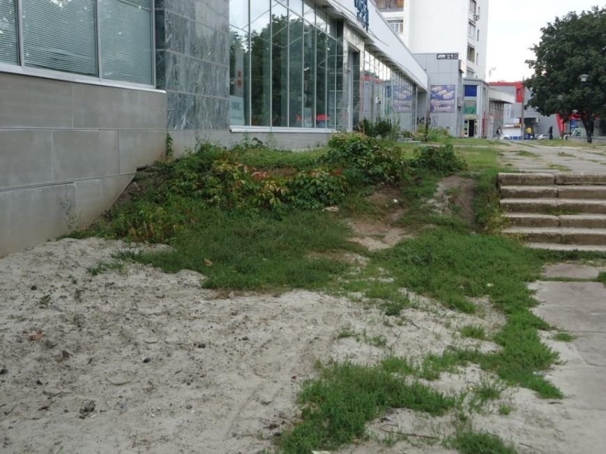 DSC00633