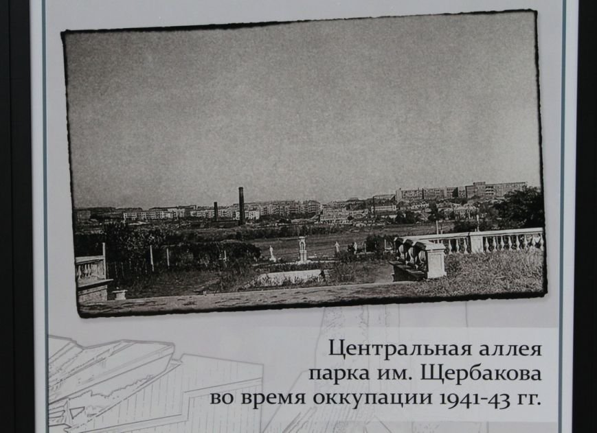 IMG_0145_новый размер IMG_0145_новый размер