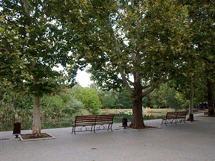 P9062117