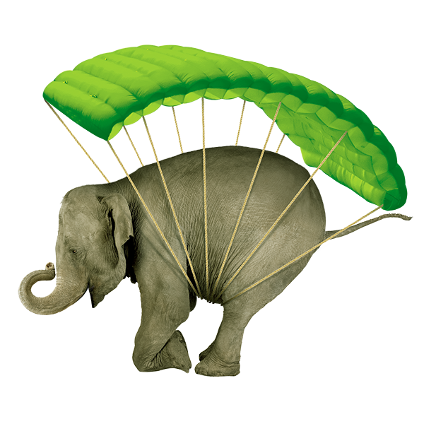 elefant