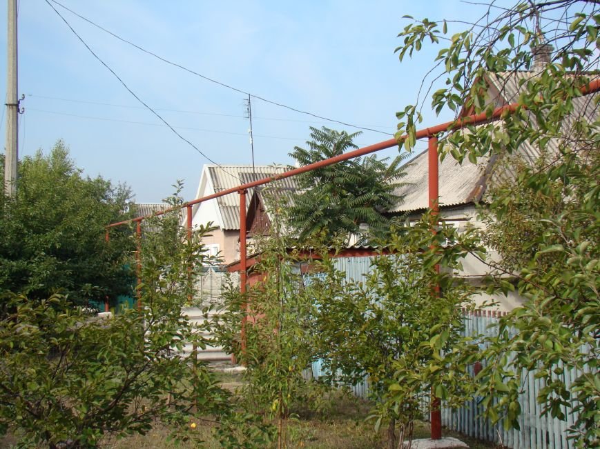 DSC07421