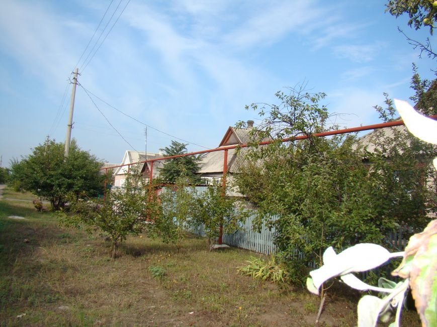 DSC07420
