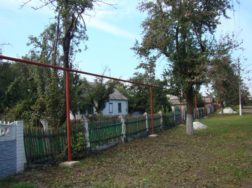 DSC07429