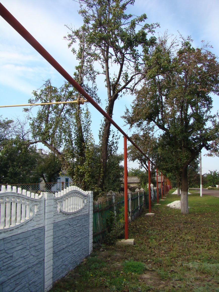 DSC07431