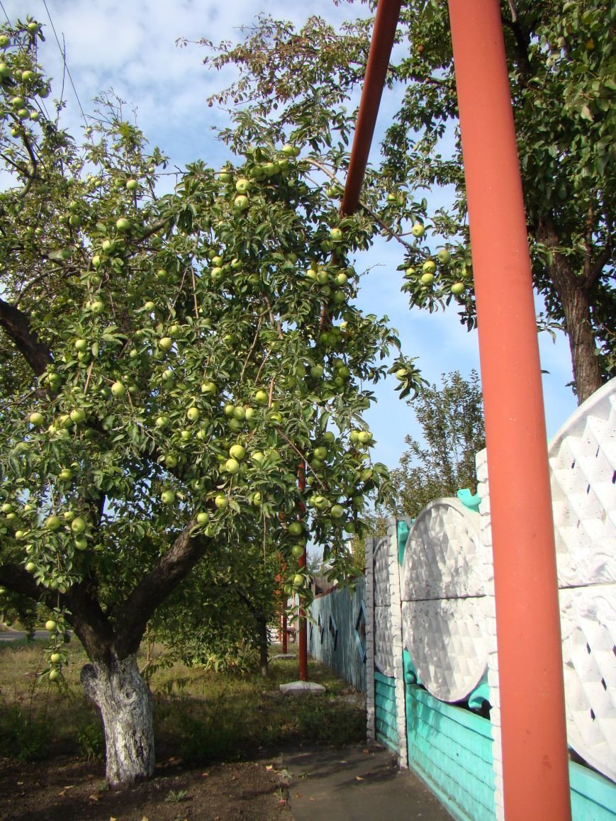 DSC07419