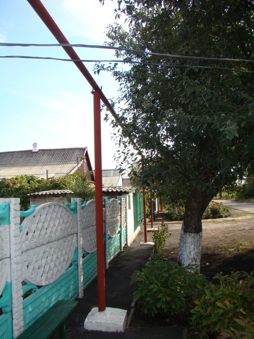 DSC07417