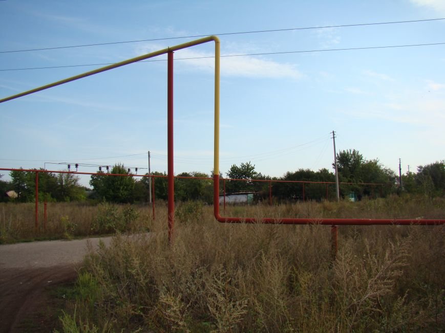DSC07424