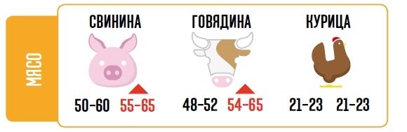 60e6cc57f542fe6133bd00a7bb_31c50459