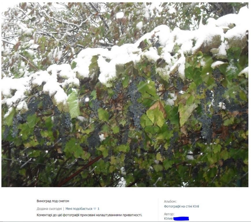 Снимок6 Снимок6