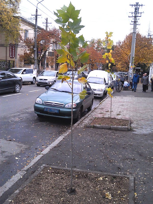 IMAG0687