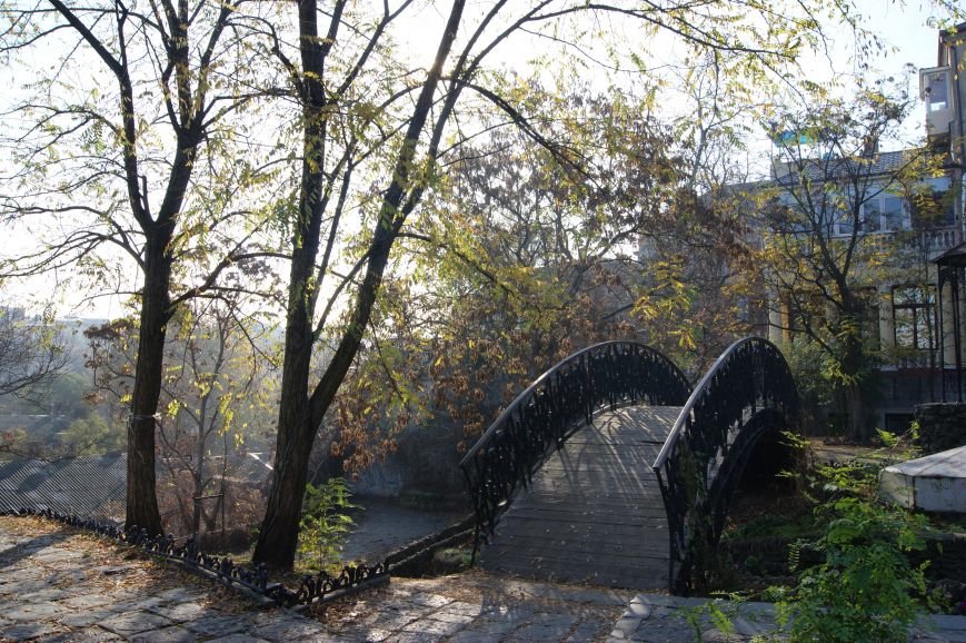 DSC00177