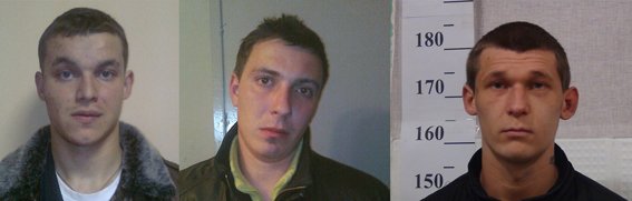 PM439image001