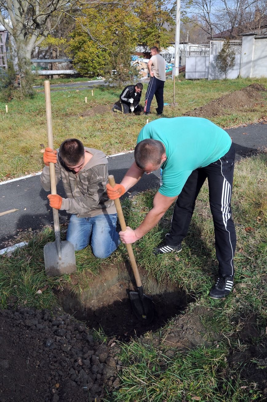 парк 005 парк 005