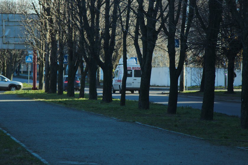 юлі волю юлі волю
