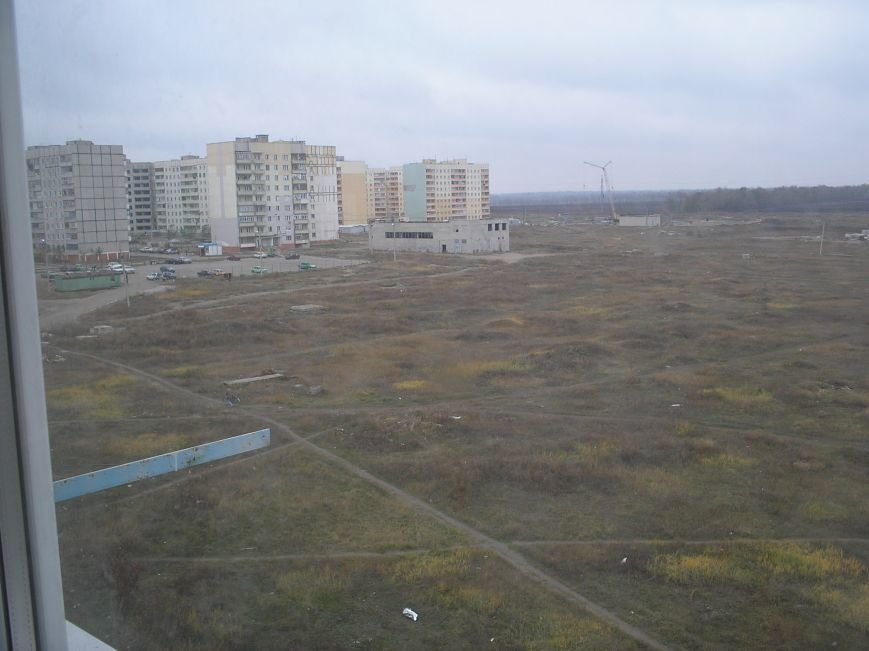 Поле 2005 год Поле 2005 год