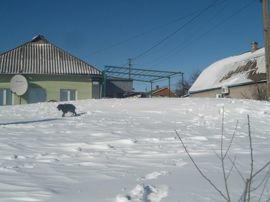 ВолонтеровкаH6TjrtgaO1g ВолонтеровкаH6TjrtgaO1g