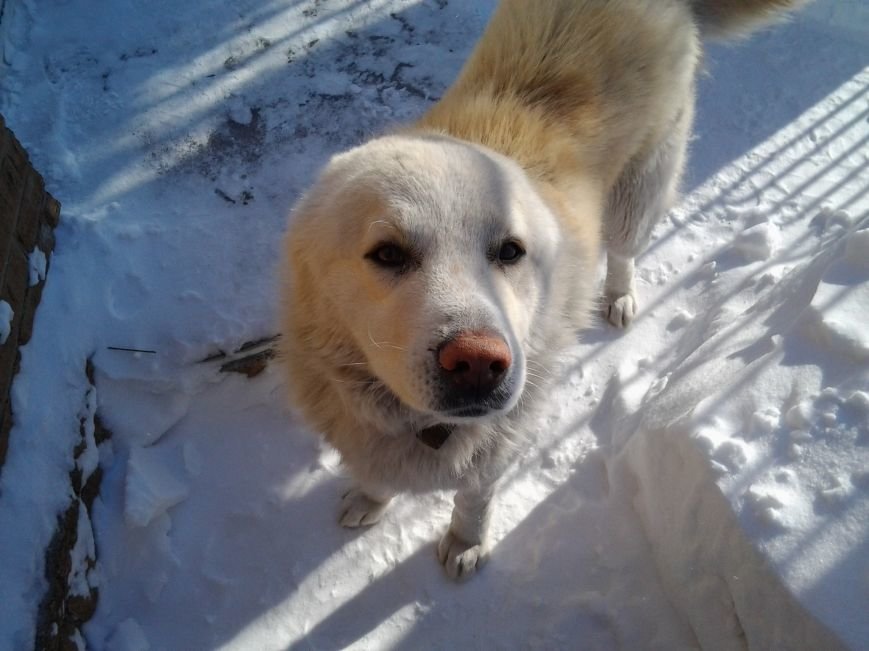 барс20140130_125931 барс20140130_125931