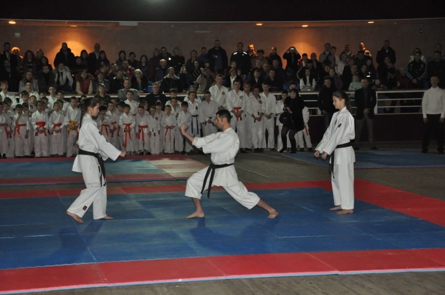 DSC_0390_новый размер DSC_0390_новый размер