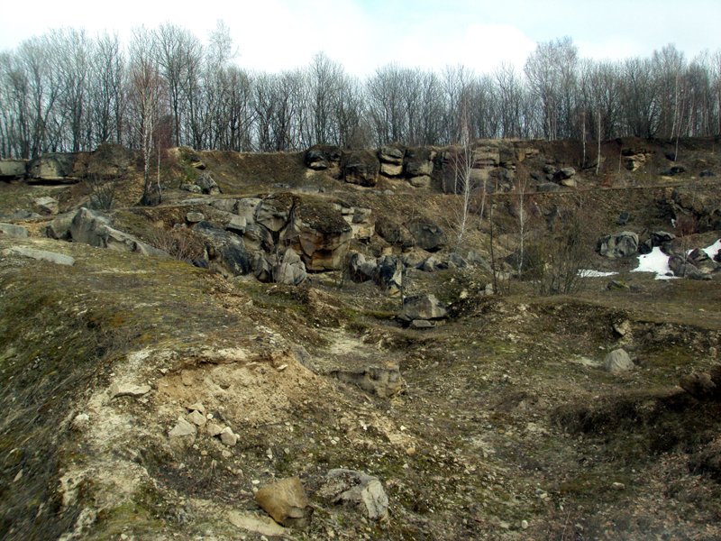 Залишки каменоломні на Вороняцькому кряжі Залишки каменоломні на Вороняцькому кряжі