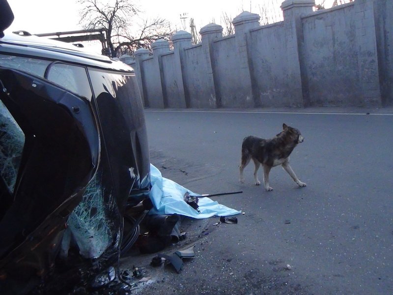 DSC06561_новый размер DSC06561_новый размер