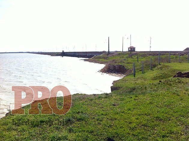 добровольцы5 добровольцы5