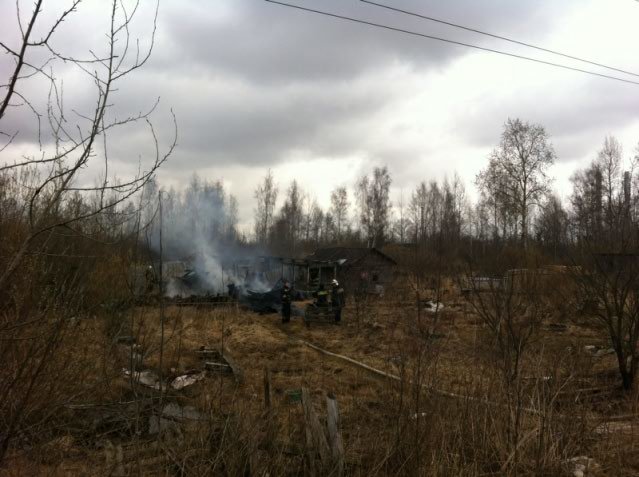 пожар, Славянка, Детскосельский, Пушкинский район, 11 14 апреля пожар, Славянка, Детскосельский, Пушкинский район, 11 14 апреля