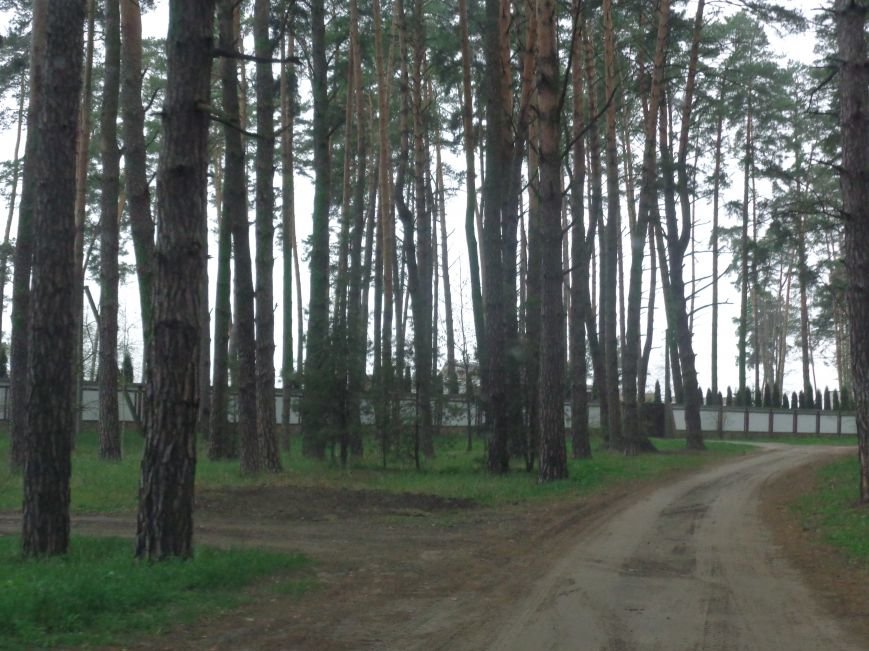 забор забор