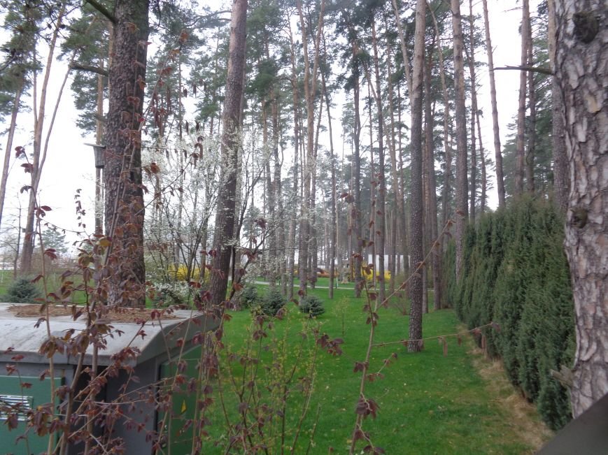 забор1 забор1