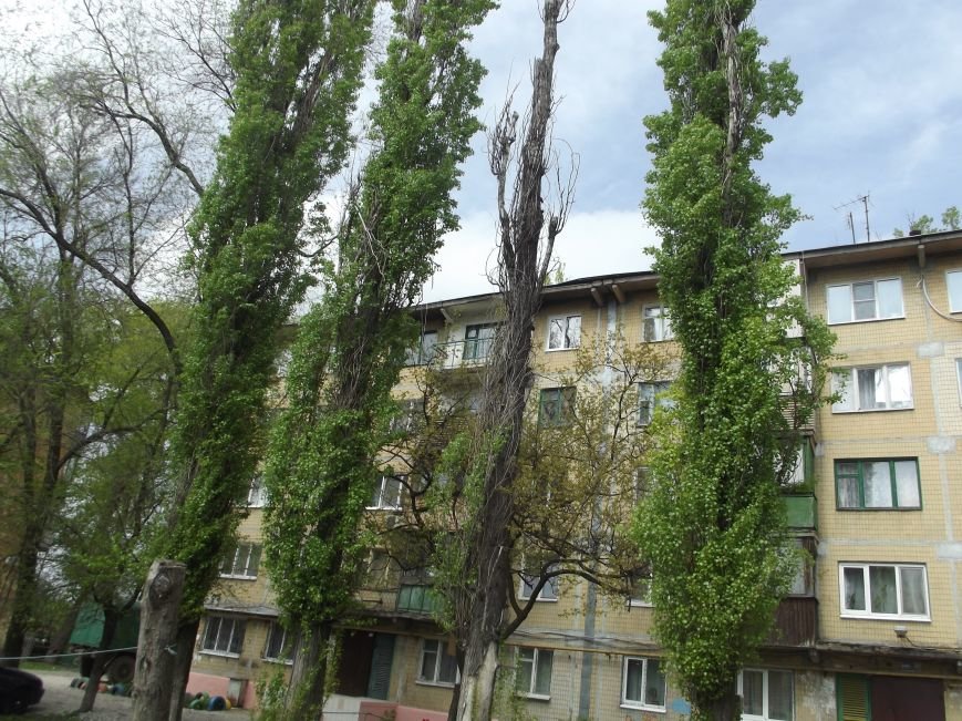 Изображение 3813 Изображение 3813