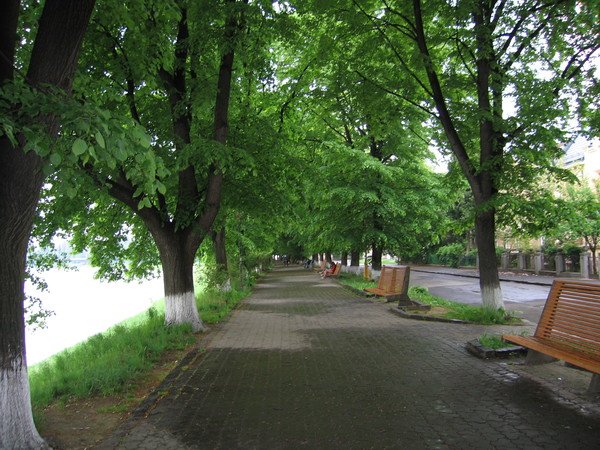 АЛЛЕЯ АЛЛЕЯ