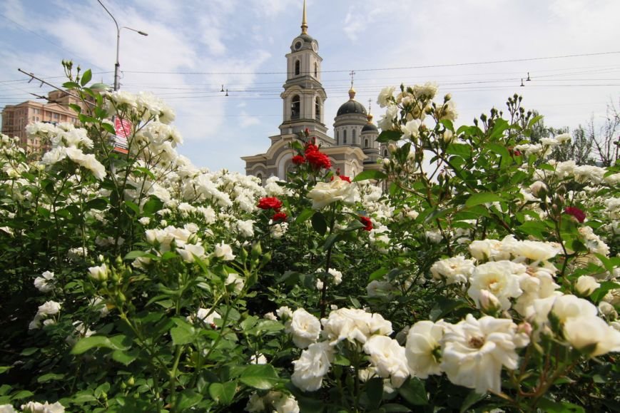 IMG_7338_новый размер IMG_7338_новый размер
