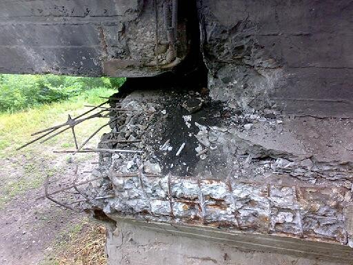 Огородный_1 Огородный_1
