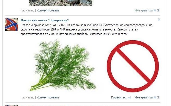 укроп укроп