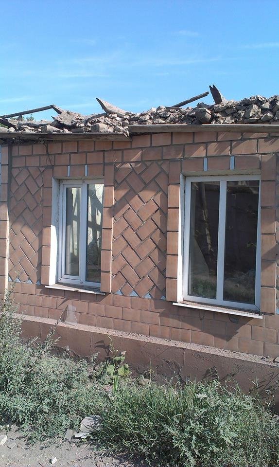 домл1 домл1