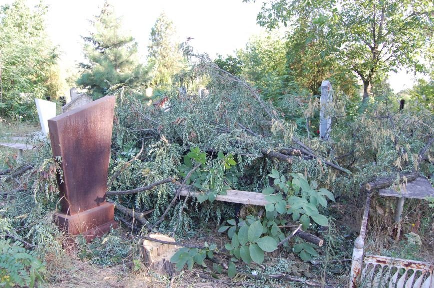 Сложенные_ветки_на_могилы_3 Сложенные_ветки_на_могилы_3