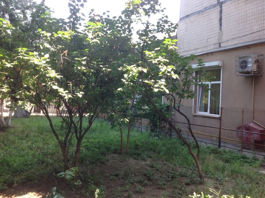 2014-08-07 14.09.56 2014-08-07 14.09.56
