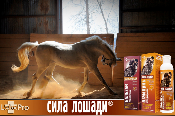 Снимок экрана от 2014-08-11 16:50:39 Снимок экрана от 2014-08-11 16:50:39