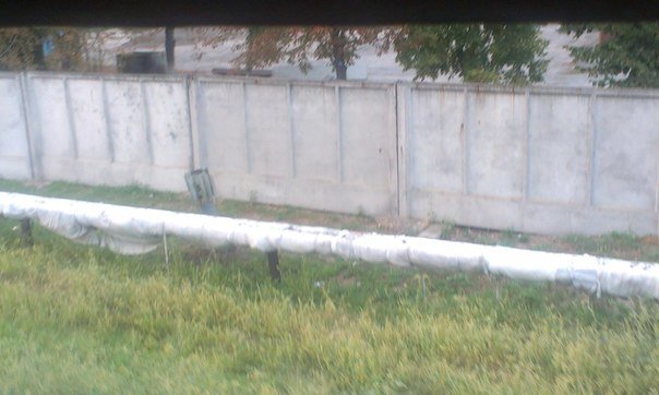 ввв ввв