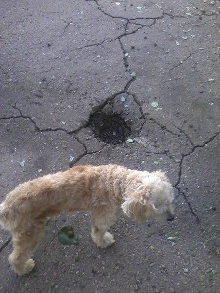 алч алч