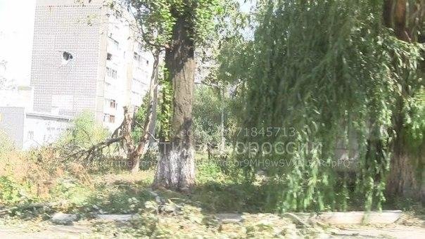 арес5 арес5