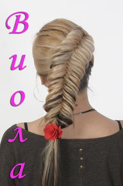 виола 1 виола 1