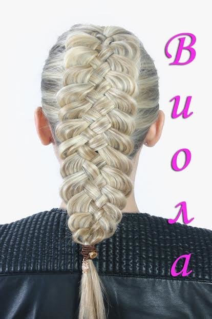 Виола 3 Виола 3